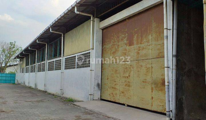 Gudang bagus siap pakai Bisa Container 40ft 2