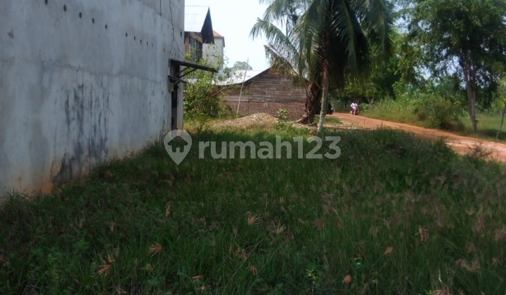 Existing Swiftlet Building with Swiftlet Nests