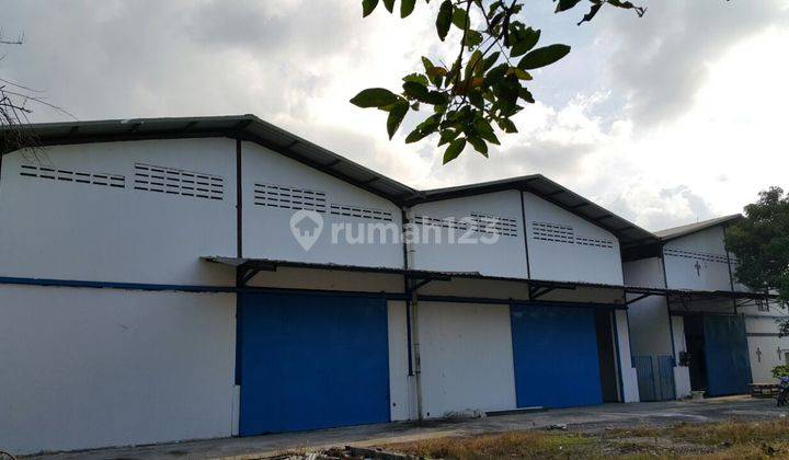 Gudang 16 Unit Hitung Tanah Perbatasan Dengan Pik 2 di Teluk Naga 1