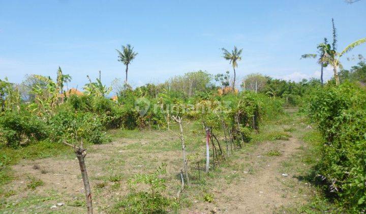 LAND FOR SALE IN SINGARAJA 2