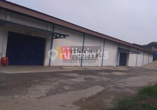 Gudang siap pakai lb 1656 di jl Walisongo Tugu semarang barat 4466 1