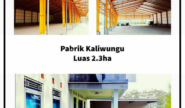 Pabrik Kaliwungu 1