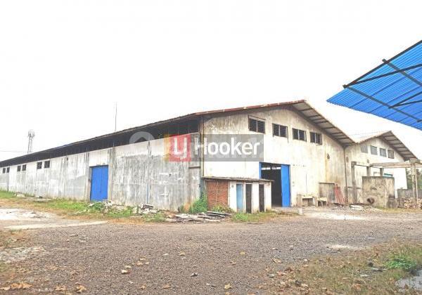 Warehouse ready for use in Cikupa Area, Tangerang. Warehouse ready for use in Cikupa Area, Tangerang.