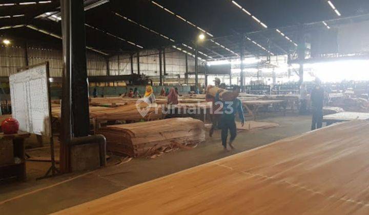 Pabrik Kayu Playwood Di Ngoro Mojokerto 1