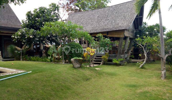 VILLA VIEW LOSS PANTAI LANGSUNG BEACH LOVINA BALI 2