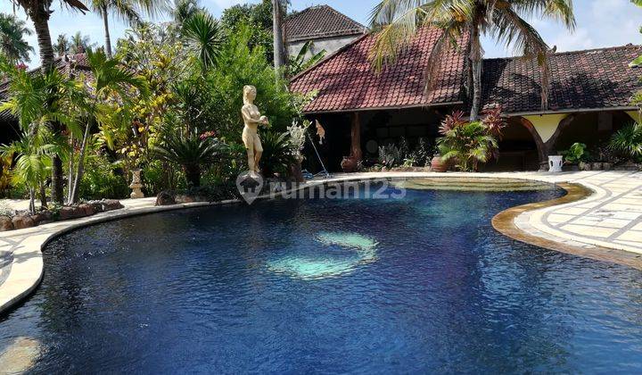 VILLA CANTIK TURUN HARGA DI LOVINA BALI 1