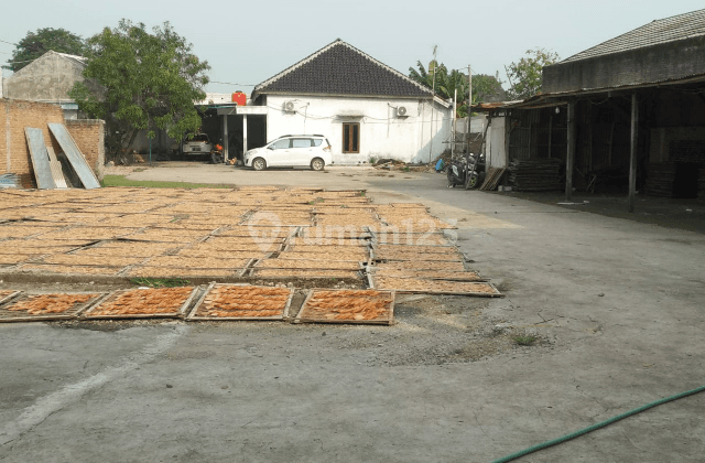 gudang pabrik kerupuk 1
