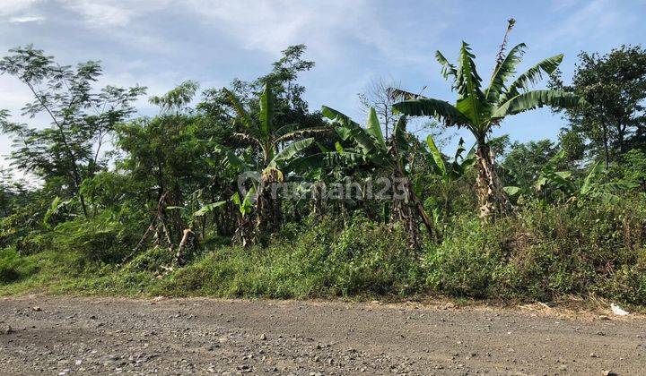 Gudang dan Tanah di Gunung Batu,Batujajar 2