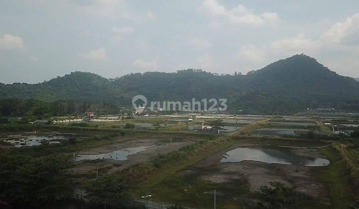 Tambak Luas di Daerah Lampung, Cocok Untuk Pariwisata 2