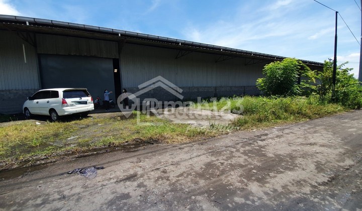 Nice warehouse in Sayung Demak Vn 3299, 3 units available. 2