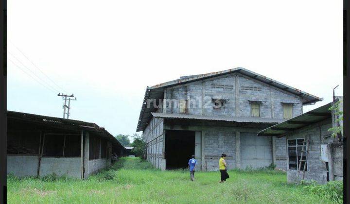 Pabrik Wringinanom Gresik Luas Ngantong Strategis bawa Rejeki 2