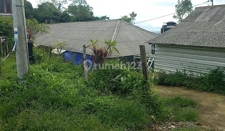 Kandang Ayam Close House Kapasitas 6000 ekor  lokasi Ds.Bangli Baturiti 1