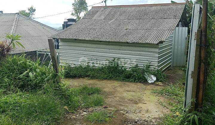 Kandang Ayam Close House Kapasitas 6000 ekor  lokasi Ds.Bangli Baturiti 2