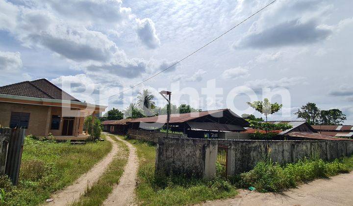 Di  tanah plus rumah,gedung walet dan gudang 1