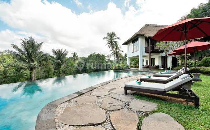 Best view in Ubud, Villa Rental with 7 rooms in Kelusa, Ubud
 2