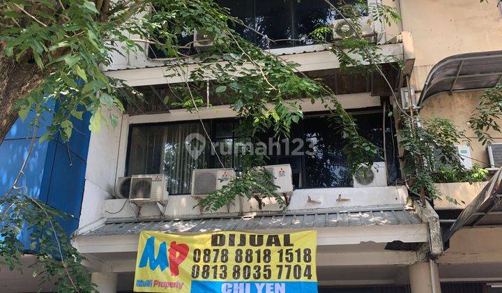 Dijual Ruko Di Jl. Agave Raya, Kedoya Selatan, Kebon Jeruk, Jakarta Selatan 1