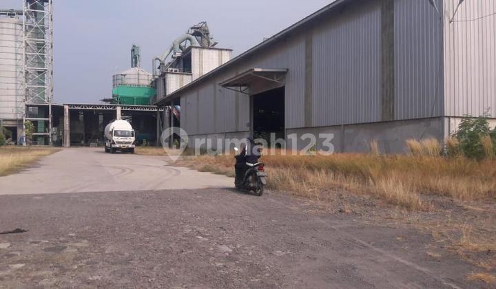 DIJUAL PABRIK SEMEN LOKASI CILEGON TIMUR BANTEN 2