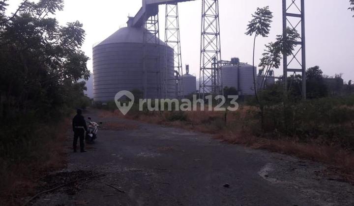 DIJUAL CEPAT PABRIK SEMEN LOKASI CILEGON TIMUR - BANTEN 1