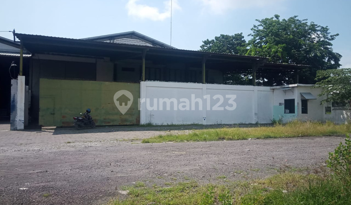 GUDANG TAMBAK LANGON BUKAN DIPERGUDANGAN SUDAH ADA KANTOR 