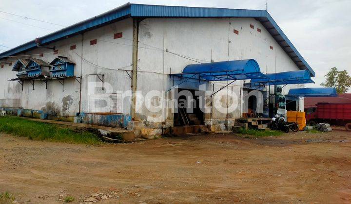 PABRIK ES BALOK DAN ES TUBE YANG SEDANG BERKEMBANG DI BENGKULU 2