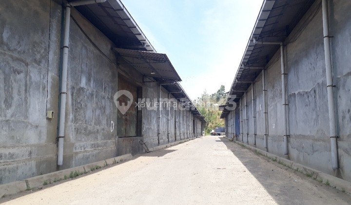 GUDANG BULANAN DI TAMBAK AJI 2