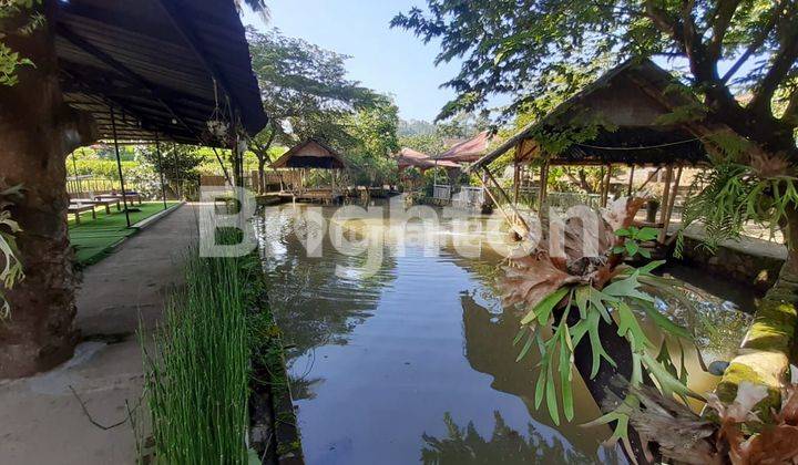 TEMPAT USAHA UNTUK WISATA TERAWAT VIEW BAGUS DI CIWIDEY BANDUNG 2