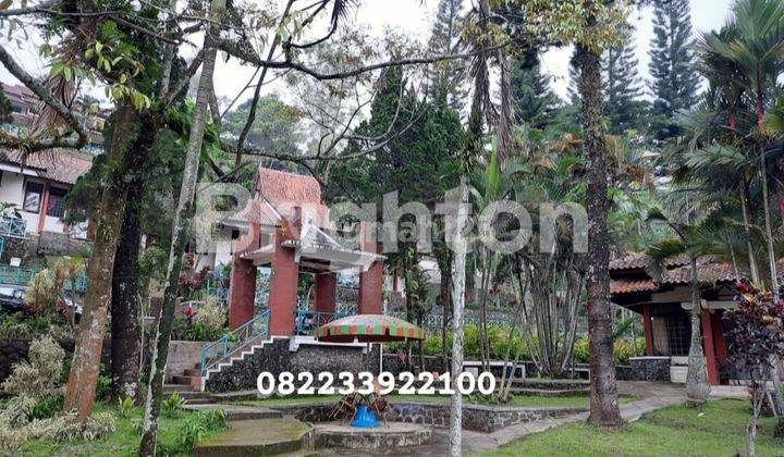 HOTEL DAN COTTAGES AREA TRAWAS(LETAKNYA SANGAT STRATEGIS NOL JALAN, DEKAT DENGAN CIMORY LAND DAN RESTO, - DIAPIT DUA PEGUNUNGAN ARJUNO DAN PENANGGUNGAN)- DIKELILINGI HUTAN PINUS 1