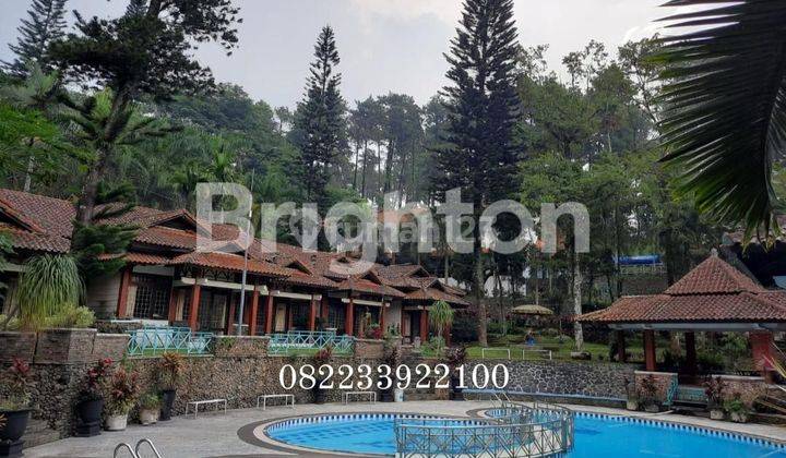 HOTEL DAN COTTAGES AREA TRAWAS(LETAKNYA SANGAT STRATEGIS NOL JALAN, DEKAT DENGAN CIMORY LAND DAN RESTO, - DIAPIT DUA PEGUNUNGAN ARJUNO DAN PENANGGUNGAN)- DIKELILINGI HUTAN PINUS 2