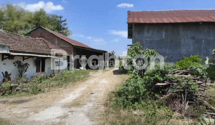 GUDANG DAN TANAH AKSES JALAN BOJONEGORO TUBAN DEKAT POLSEK SOKO 1