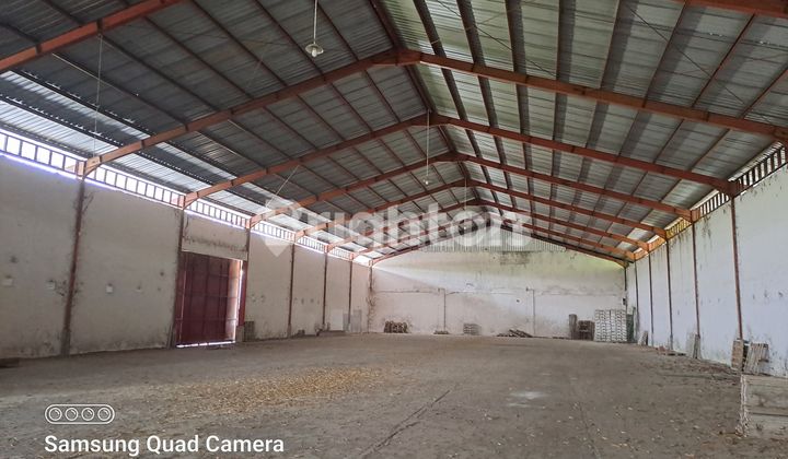 Gudang Di Wonorejo Pasuruan