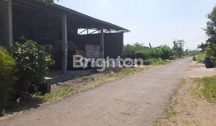 EX PABRIK TULUNGAGUNG BISA NEGO HGB PANJANG 1