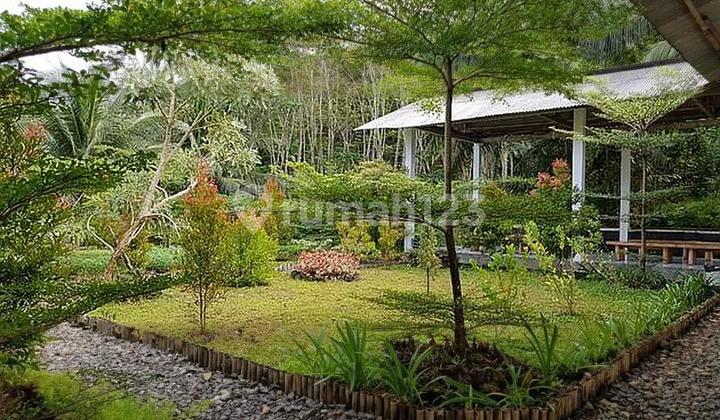 Batu Karas Restaurant Ciamis Pangandaran West Java Batu Karas Restaurant Ciamis Pangandaran West Java