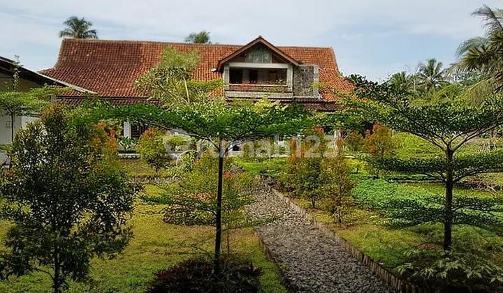 Batu Karas Restaurant Ciamis Pangandaran West Java Batu Karas Restaurant Ciamis Pangandaran West Java