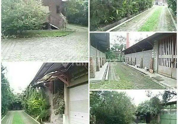 Di Ruang Usaha Di Mengger Lokasi Antara Batununggal - Buah Batu 1