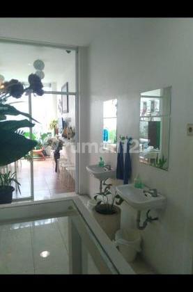 Shop house for sale 2