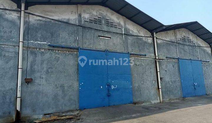 Gudang Disewakan Di Miami kayu besar 1