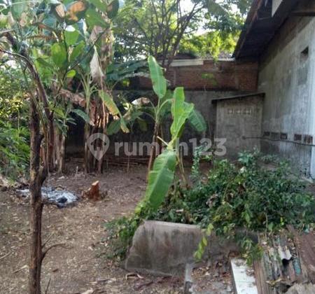 4 billion gets 3 zero lot shophouses on Pleret Pasuruan main road. 4 billion gets 3 zero lot shophouses on Pleret Pasuruan main road.