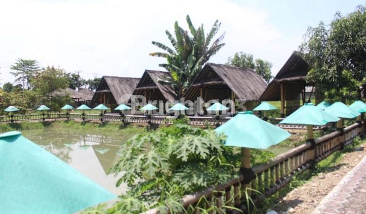 EX. RESTO ISTANA SATE SAUNG JAGO CIANJUR