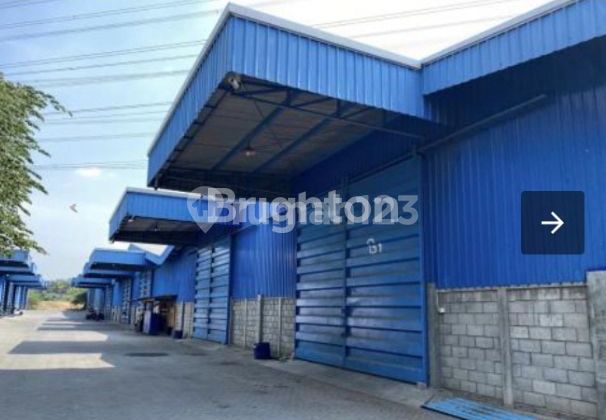 Gudang Jalan Kapten Darmo Sugondo Gresik Jawa Timur Gudang Jalan Kapten Darmo Sugondo Gresik Jawa Timur