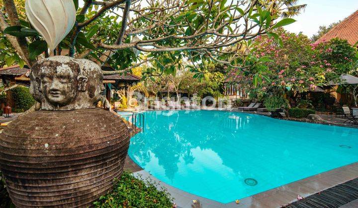 Hotel Murah Jogja Dekat Prawirotaman Yogyakarta 1