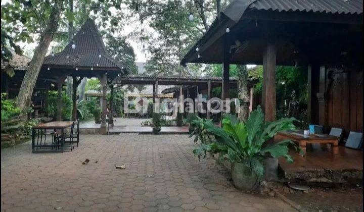 RESTO DAN CAFE MASIH AKTIF DI BSD 1