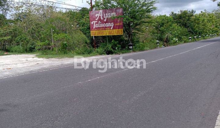 JUAL TANAH DI JALAN RAYA KARANGMOJO SEMIN WONOSARI YOGYAKARTA 2