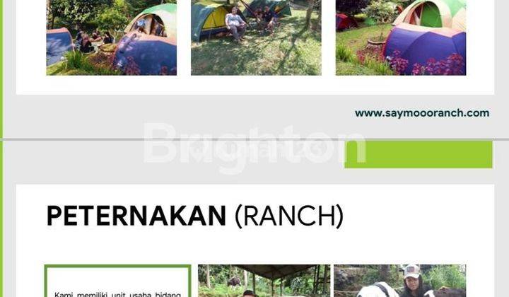 Ranch di Bandung Barat masih beroperasi dengan luas 3,8hektar. Harga Turun dari 26M jadi 16M 2