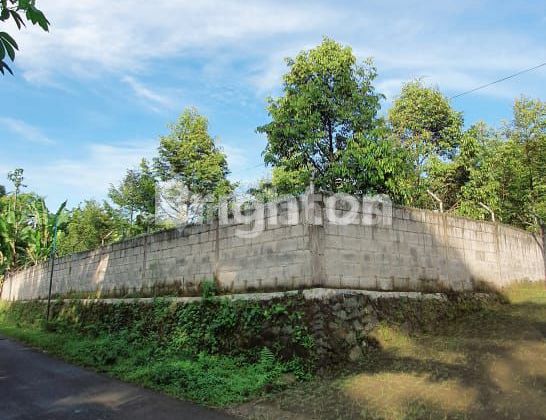 kebun durian di gajahrejo pasuruan