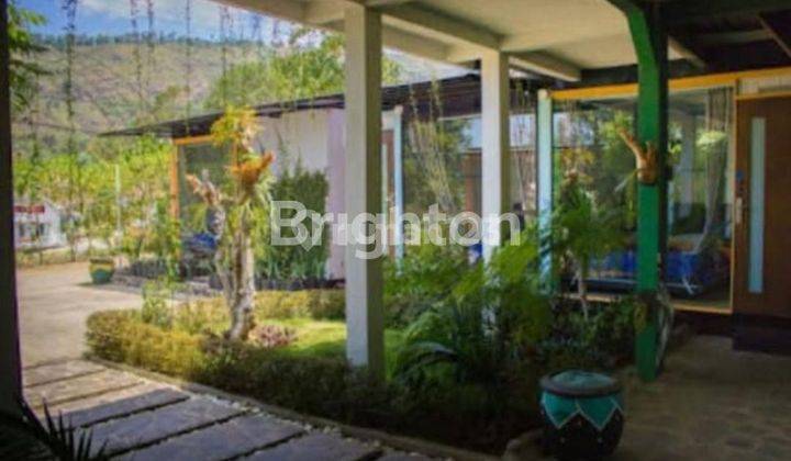 cotage dng view cantik di kawasan wisata Bromo 2