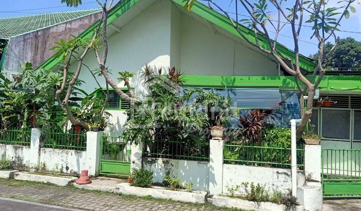 Rumah di daerah Jeruk , Semarang Selatan ( Nc 3747 ) 2