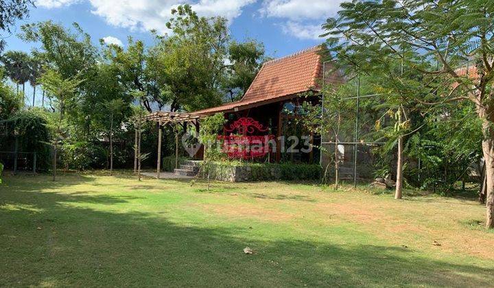 Villa for sale Pemuteran location 2