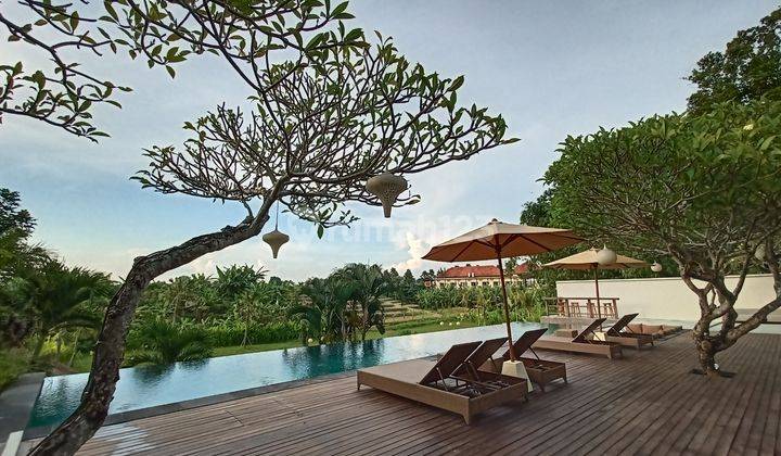 Spacious Exclusive Villa Babakan Canggu Bali 1