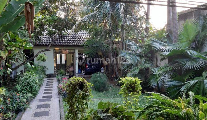 Rumah Open Space Hijau Teduh Halaman Luas Asri Strategis Jarang Ada Bintaro Jaya 2