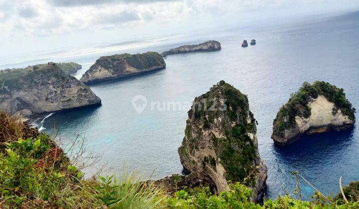 Home stay for lease nusa penida 1